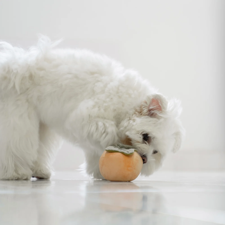 Lambwolf Collective - Persimmon Dog Toy