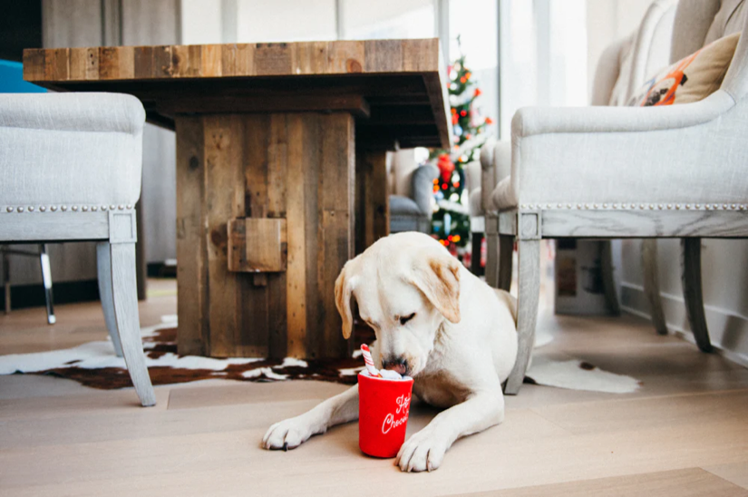 P.L.A.Y. - Holiday Classic Ho Ho Ho Hot Chocolate