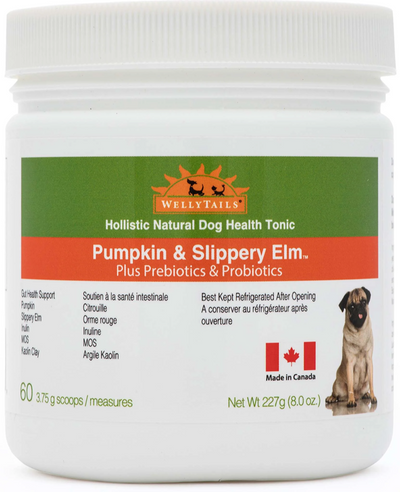 WellyTails - Gut Probiotics & Prebiotics - Pumpkin & Slippery Elm