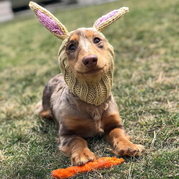 Zoo Snoods - Jack Rabbit