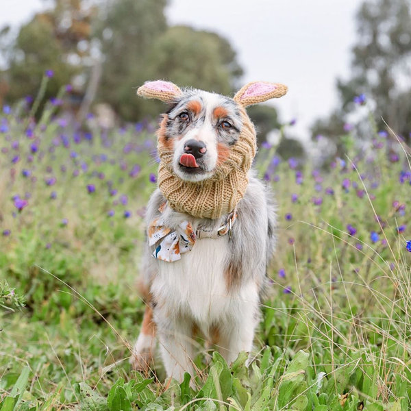 Zoo Snoods - Jack Rabbit