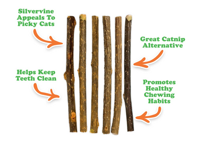 Meowijuana - Catnip Silvervine Stick 6pk