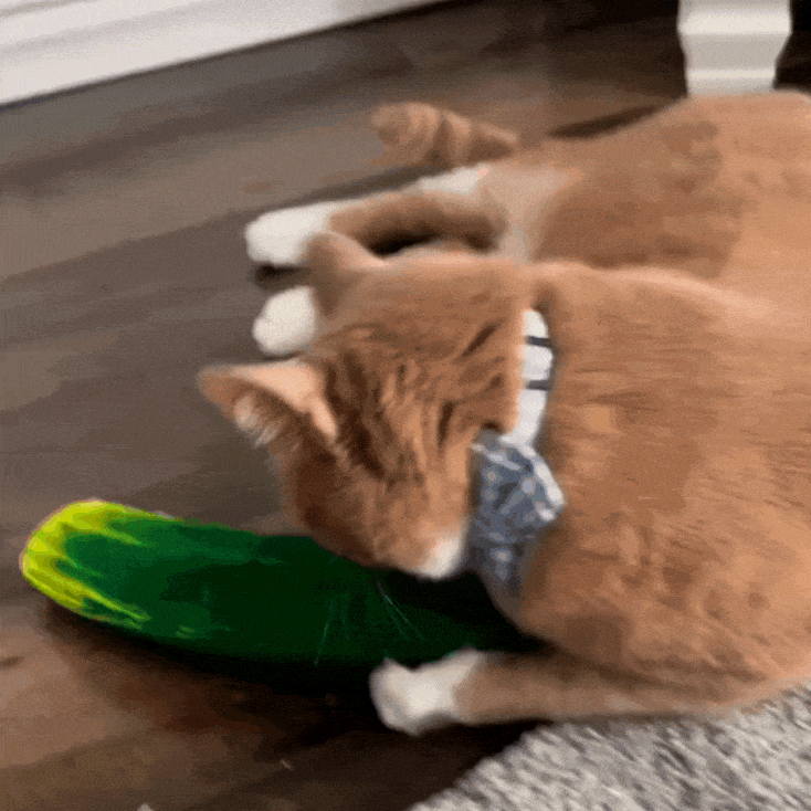 Meowijuana - Get Kickin' Refillable Spicy Pickle Kicker