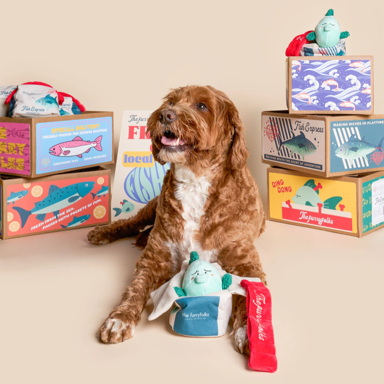 The Furryfolks - Fish Express Dog Toy