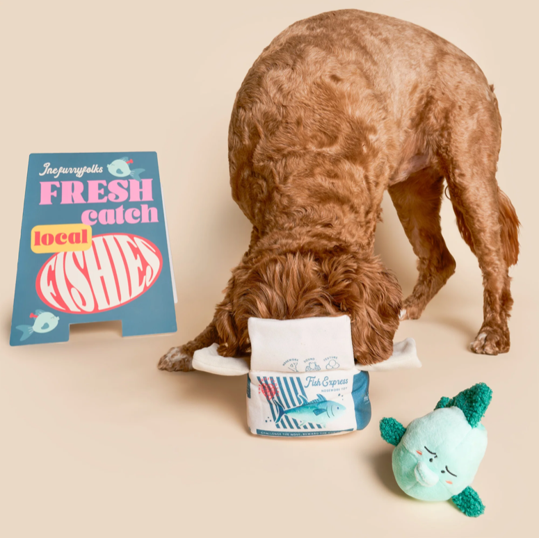 The Furryfolks - Fish Express Dog Toy