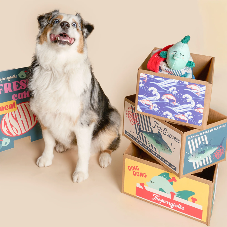 The Furryfolks - Fish Express Dog Toy