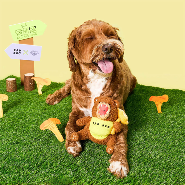 The Furryfolks - Happy Bear Tofino Nosework Toy