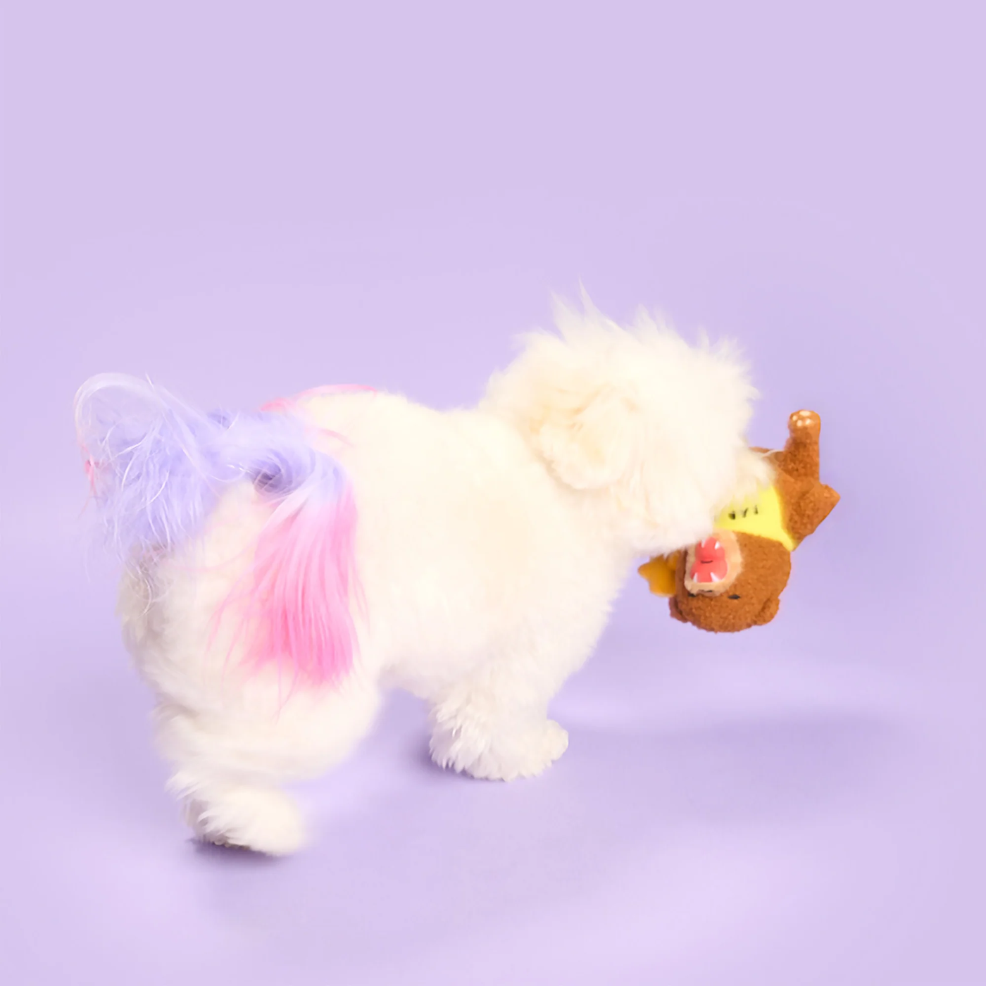 The Furryfolks - Happy Bear Tofino Nosework Toy