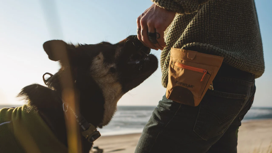 Ruffwear - Treat Trader Dog Treat Pouch