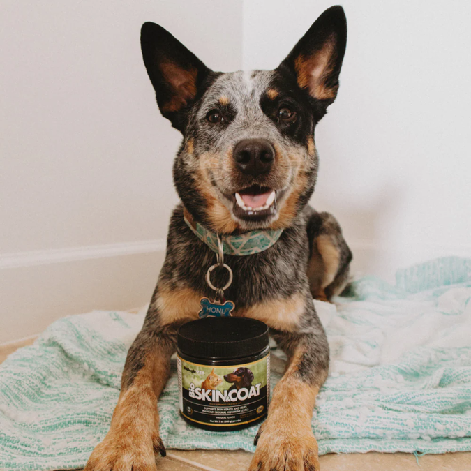BiologicVET - Bio SKIN & COAT - Dog / Cat Supplement