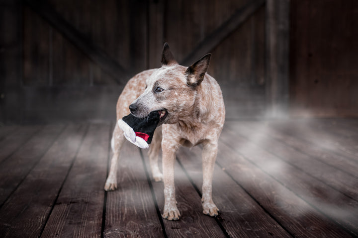 P.L.A.Y. - Howling Haunts, Barky's Bite