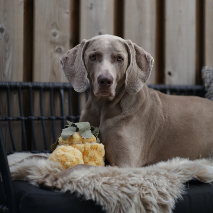 Lambwolf Collective - Pineapple Pop Dog Toy