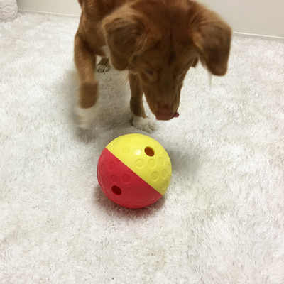 Nina Ottosson - Treat Tumble Treat Dispenser