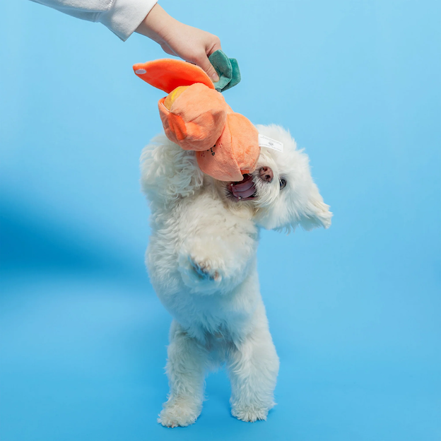 The Furryfolks - Orange Nosework Toy