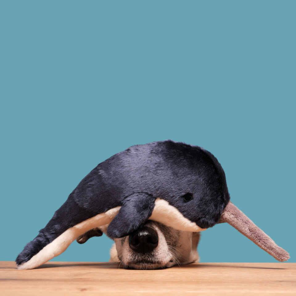 Fluff & Tuff - Bleu Narwhal