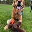 Tall Tails - Otter Rope Body Dog Toy 13"