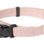 Fuzzyard Life - Dog Collar