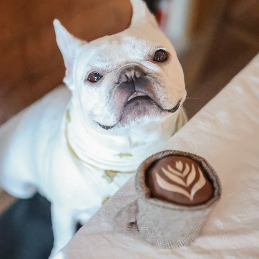 Lambwolf Collective - Latte Pop Dog Toy