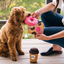 P.L.A.Y. - Pup Cup Café, Doughboy Donut