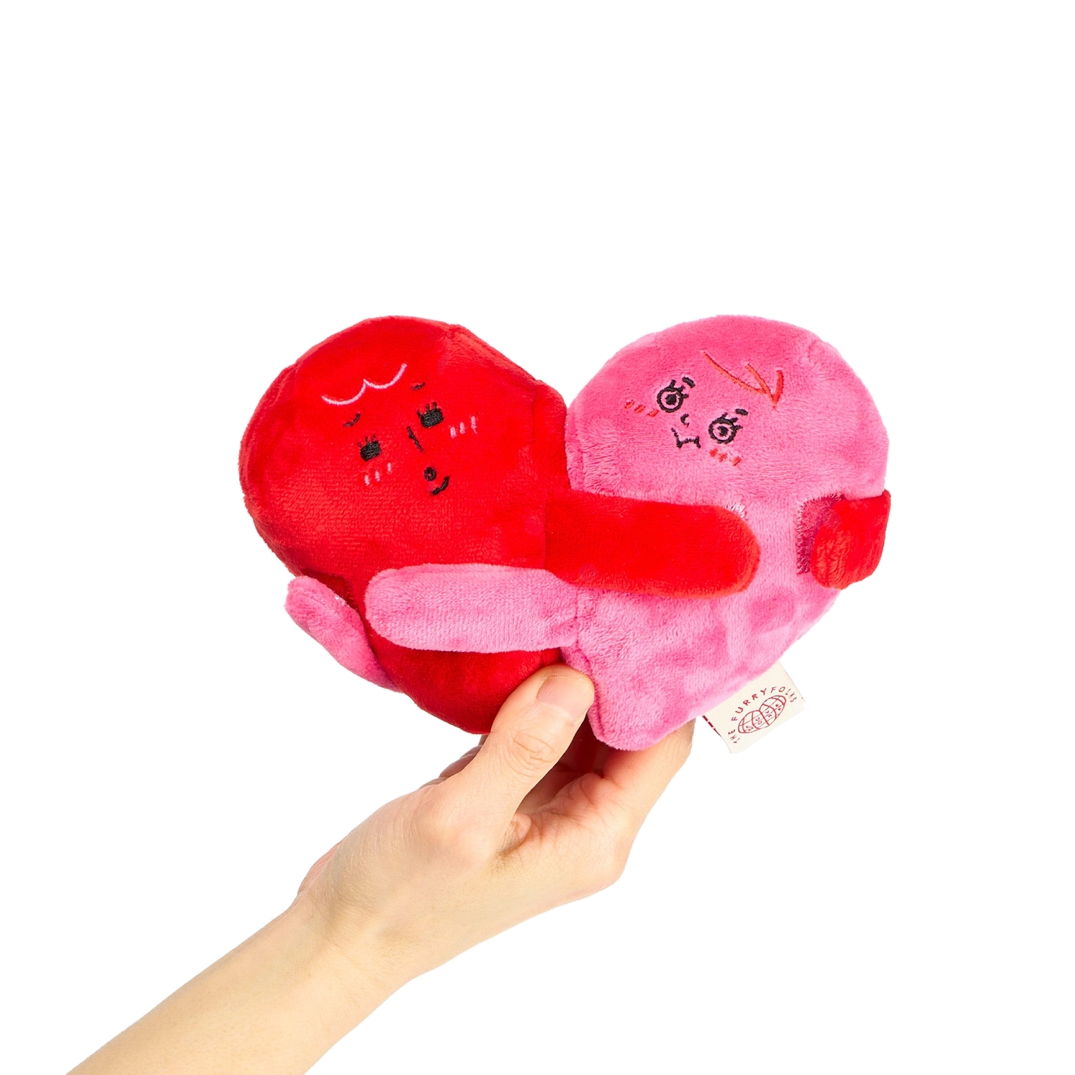 The Furryfolks - Love Locked Nosework Toy