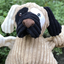 HuggleHounds - Patches HuggleMutt Knottie Plush Dog Toy