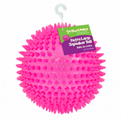 Royal Pet - Gnawsome Ball - Squeak