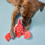 The Furryfolks - Crab Nosework Toy