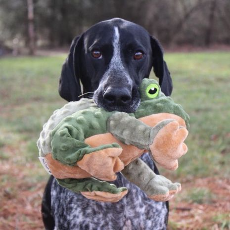Tall Tails - Animated Frog Dog Toy