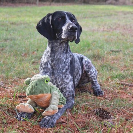 Tall Tails - Animated Frog Dog Toy