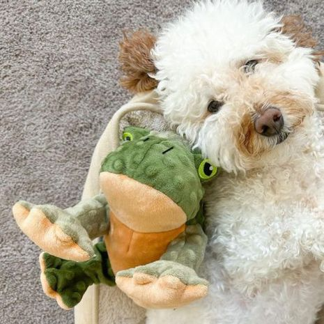 Tall Tails - Animated Frog Dog Toy