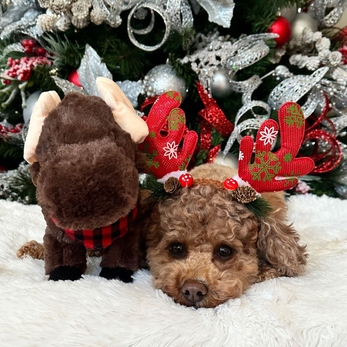 Tall Tails - Animated Moose Dog Toy