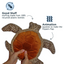 Tall Tails - Animated Sea Turtle Dog Toy