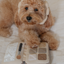 Lambwolf Collective - Eyeshadow Palette Dog Toy