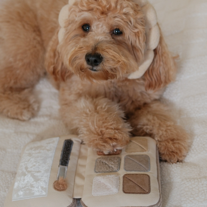 Lambwolf Collective - Eyeshadow Palette Dog Toy