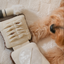 Lambwolf Collective - Setting Powder & Brush Dog Toy