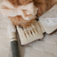 Lambwolf Collective - Setting Powder & Brush Dog Toy