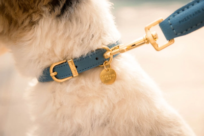 Fuzzyard Life - Atelier Dog Collar