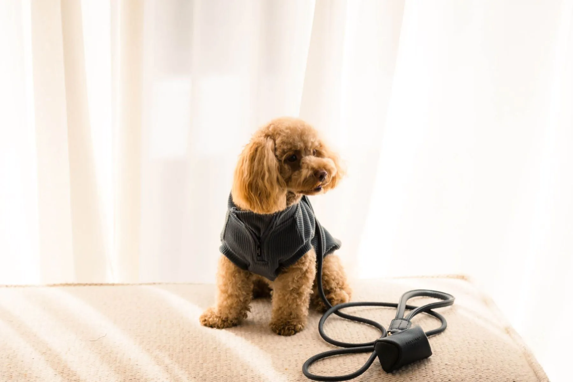 Fuzzyard Life - Atelier Poop Bag Dispenser