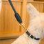 Fuzzyard Life - Atelier Dog Lead