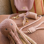 Fuzzyard Life - Soft Blush Octopus Dog Toy