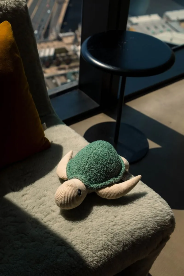 Fuzzyard Life - Myrtle Green Turtle Dog Toy