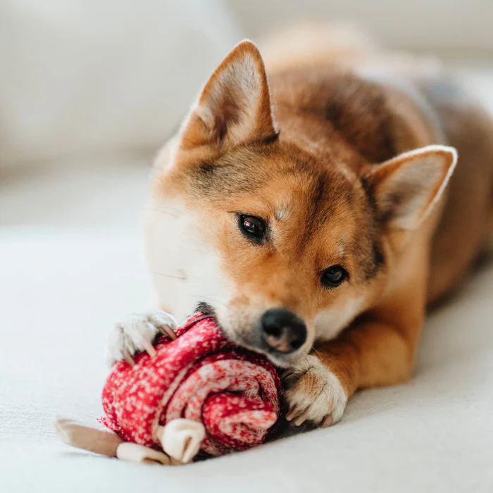 Lambwolf Collective - Lollipop Dog Toy