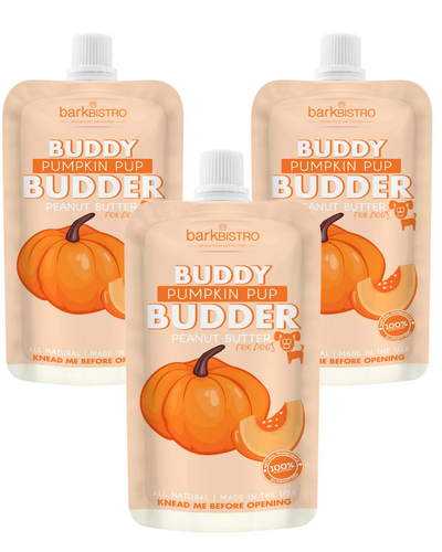Bark Bistro - Pumpkin Pup Buddy Budder Peanut Butter Squeeze Pack