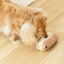 Lambwolf Collective - Eclair Dog Toy
