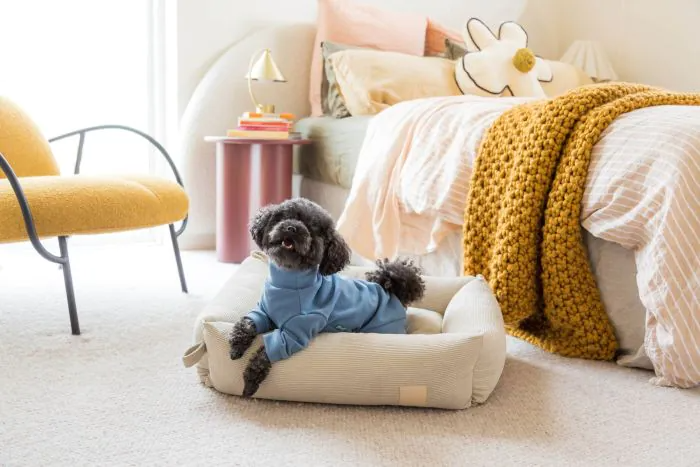 Fuzzyard Life - Soft Touch Pajamas