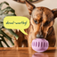 Woof - Pupsicle Pops