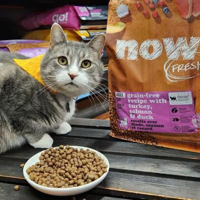 Now Fresh - Dry Cat Food