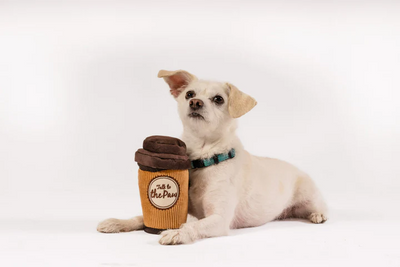 P.L.A.Y. - Pup Cup Café, Doggo's Java