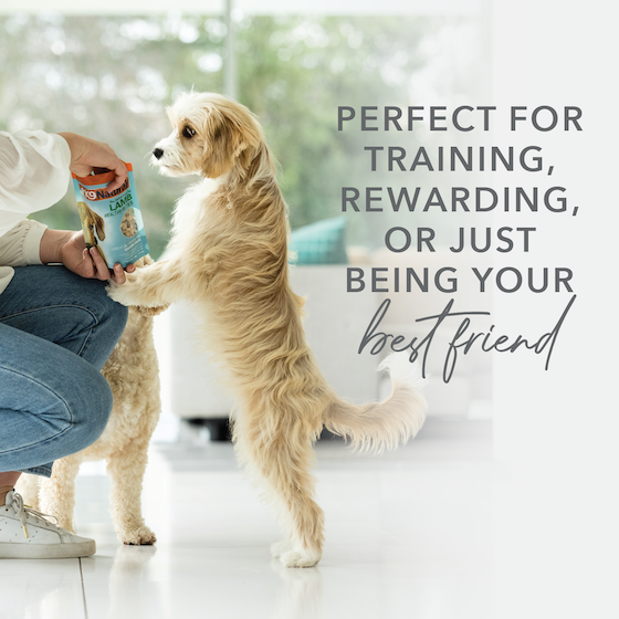 K9 Natural Beef Healthy Bites Treats Doodle Dogs