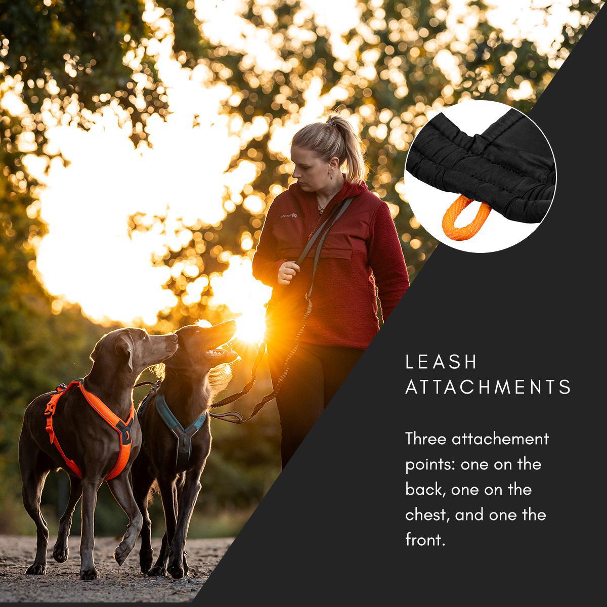 Non-stop Dogwear - Line Harness 5.0